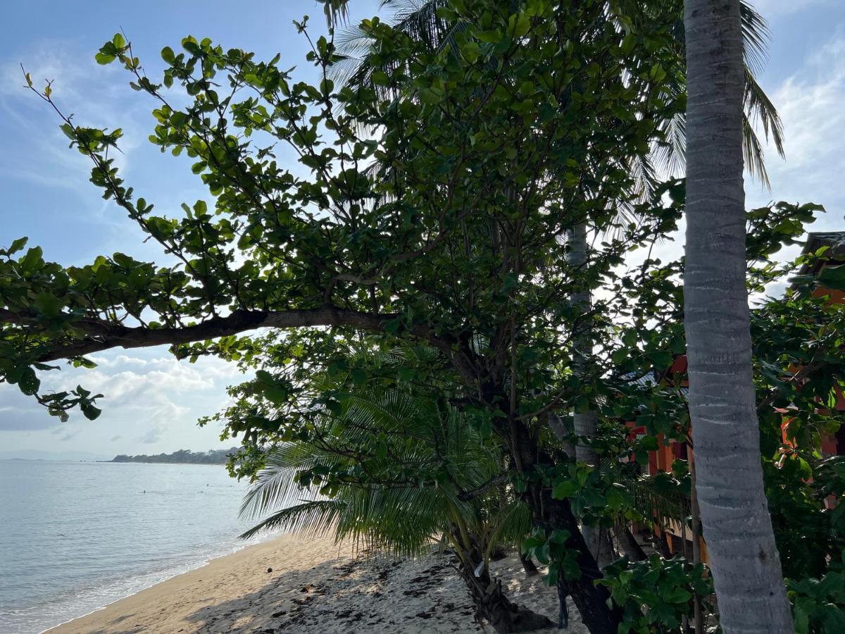 Wish Bungalow Koh Samui Ngoại thất bức ảnh