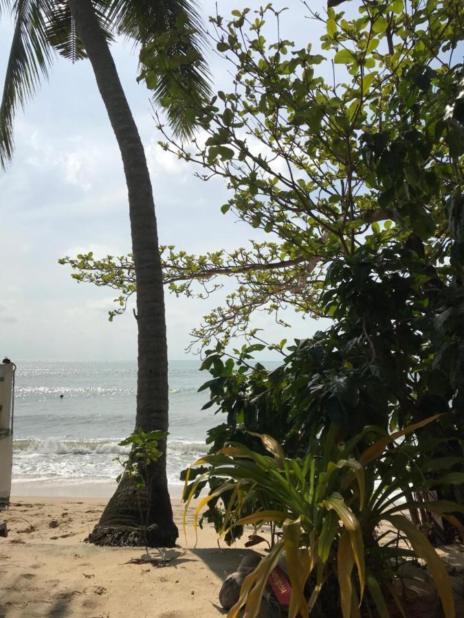 Wish Bungalow Koh Samui Ngoại thất bức ảnh